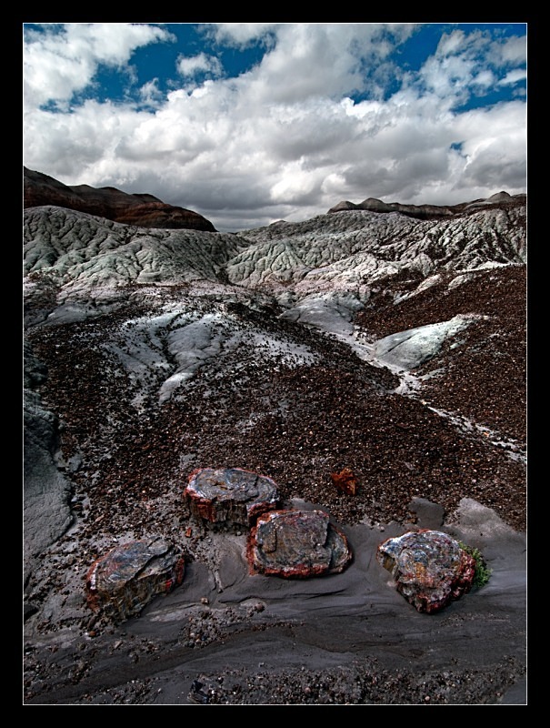 Petrified - Landscapes