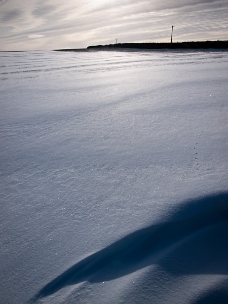 Snow - Winter