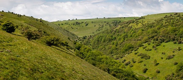 Deep Dale #09 - Deep Dale Nature Reserve