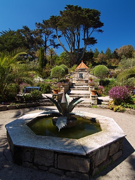 The Abbey Garden, Tresco #3 - Isles of Scilly