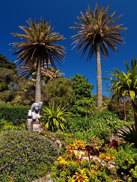 The Abbey Garden, Tresco #2 - Isles of Scilly