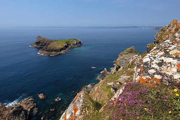Mullion Island - Cornwall