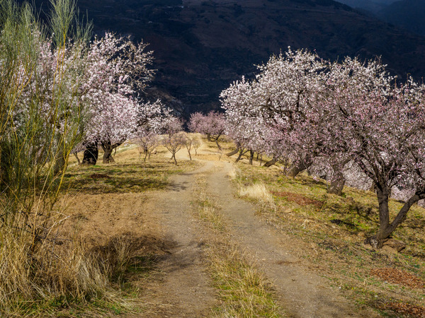Andalucia 3 -104