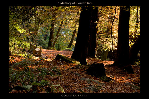 In Memory of Loved Ones