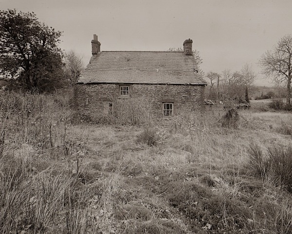 PEN-BRYN-RHYG, Stags Head, Ceredigion 2013 - CEREDIGION FARMHOUSES