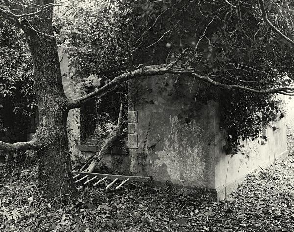 PENLLERGAER MANSION GARDENS, Swansea 2016 - GLAMORGAN