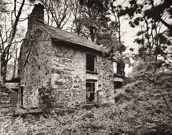 PANT-Y-RHEW-FACH, Dihewyd, Ceredigion 2015 - CEREDIGION FARMHOUSES