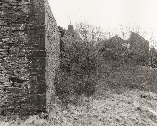 GELLI-GARED, Crynant, West Glamorgan 2012 - GLAMORGAN
