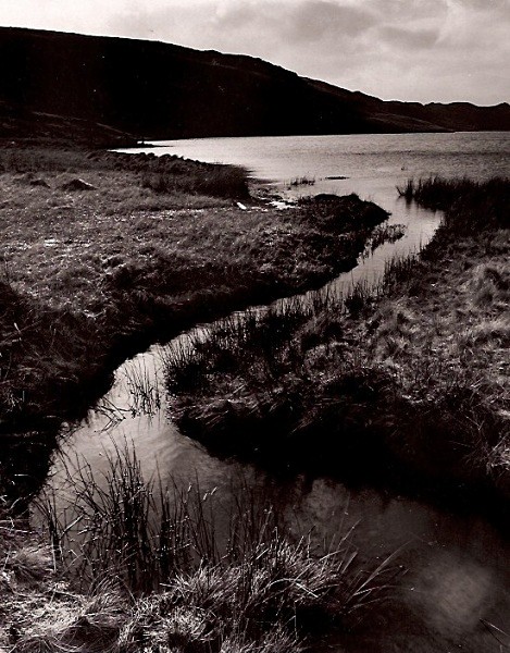 TEIFI POOLS, Ffair-Rhos, Ceredigion 1994 - THE WELSH LANDSCAPE