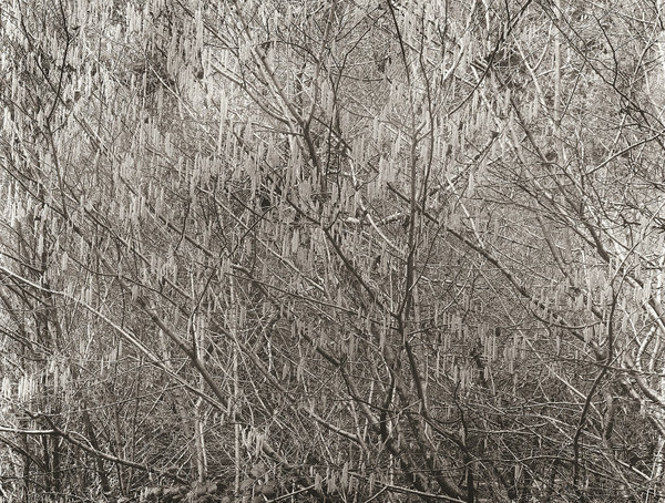 HAFOD, Cwmystwyth, Ceredigion 2003 - THE WELSH LANDSCAPE