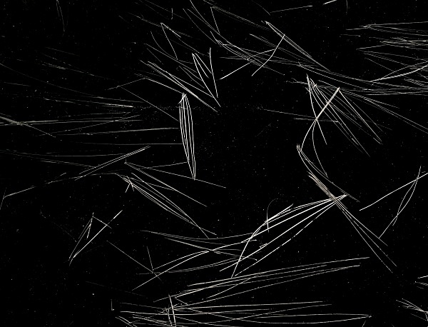GRASSES IN LAKE AT TEIFI POOLS, Ffair Rhos, Ceredigion 1995 - THE WELSH LANDSCAPE