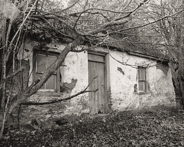 CANADA, Stag’s Head, Ceredigion 2014 - CEREDIGION FARMHOUSES