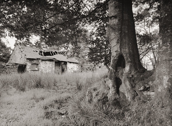 ALLT-MAES-RHYG-FACH, Llangeitho, Ceredigion 2015 - CEREDIGION FARMHOUSES