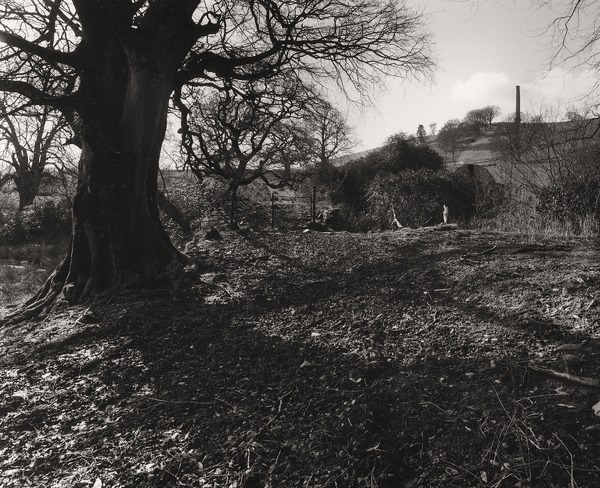 DERRY ORMOND GARDEN BRIDGE, Betws Bledwrs, Ceredigion 2012 - CEREDIGION MANSIONS