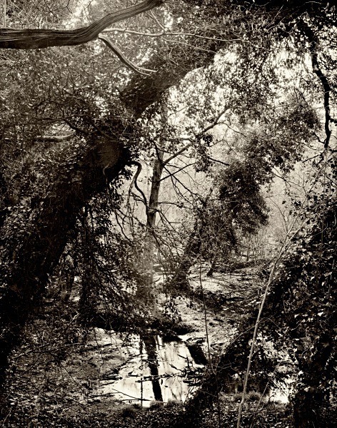 AFON RHEIDOL RIVER, Ceredigion 2015 - THE WELSH LANDSCAPE