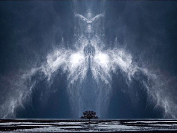 The One Tree - Photographic Awards and Exhibition Acceptances